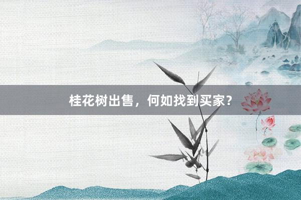 桂花树出售,何如找到买家?